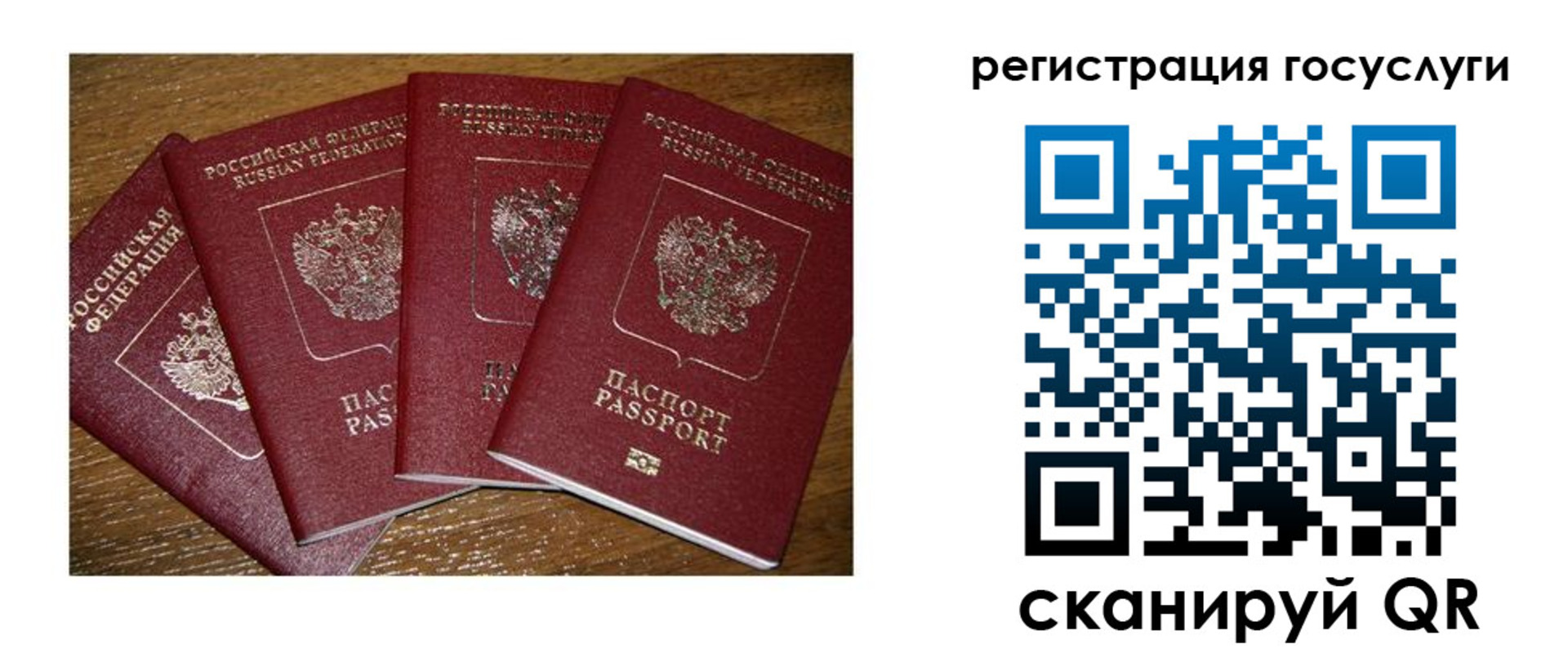 временная регистрация гарантия в Таре